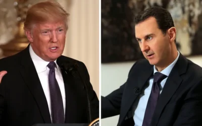 A VOLTE RITORNANO, A VOLTE CADONO